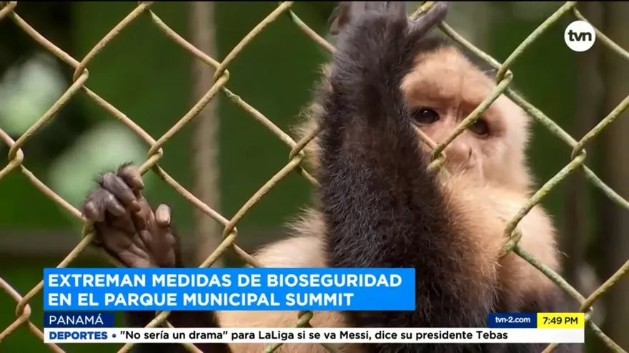 El Parque Summit reabrió sus puertas