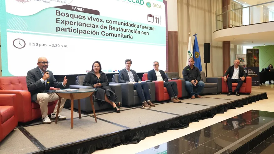 Agenda regional de restauración forestal y biodiversidad se consolida en Centroamérica y el Caribe.