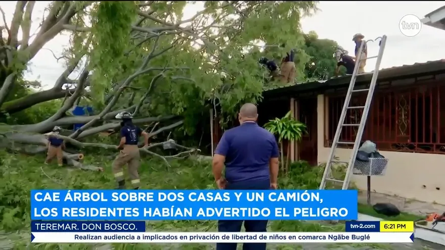 Árbol enfermo cae sobre viviendas