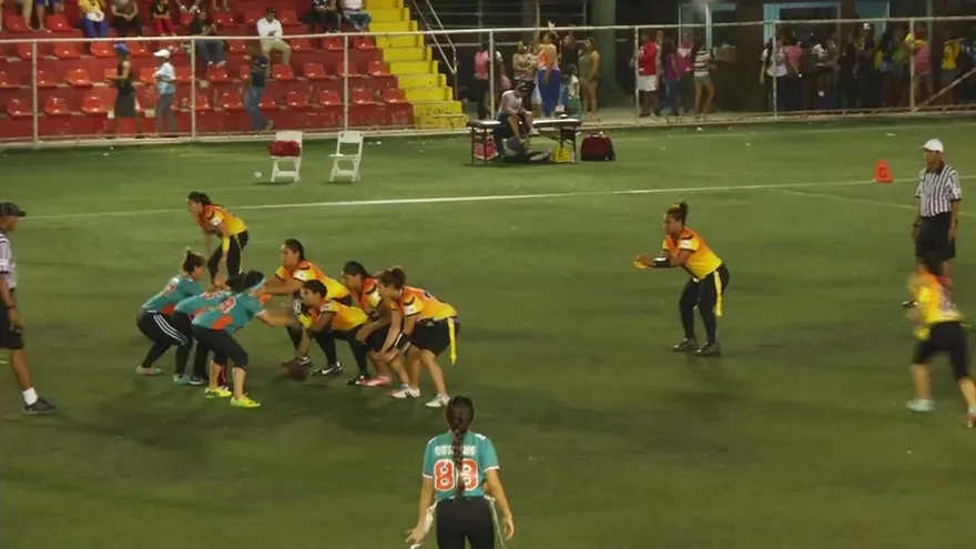 Dolphins 21 - Mighty Wasps 0