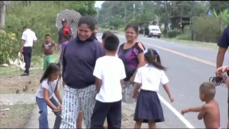Enjambre de abejas ataca a varias familias en Bocas del Toro