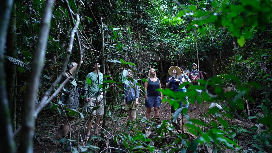 Guía turístico realizan un recorrido con turistas por una zona boscosa del país.