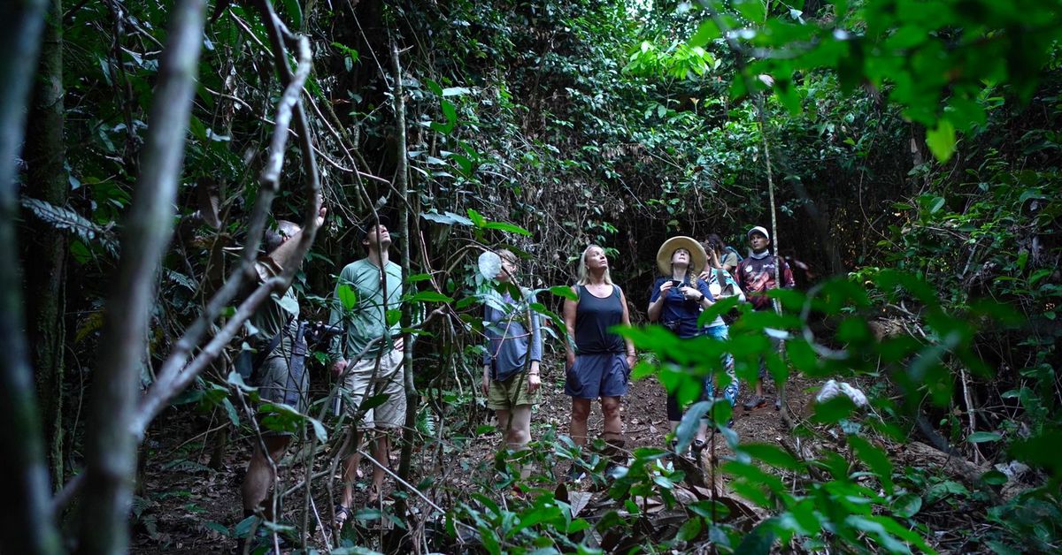 Reconocerán título del Inadeh para agilizar certificación de guías turísticos