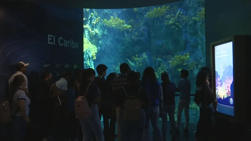 El BioMuseo celebra 11 años con una noche llena de actividades y exhibiciones especiales