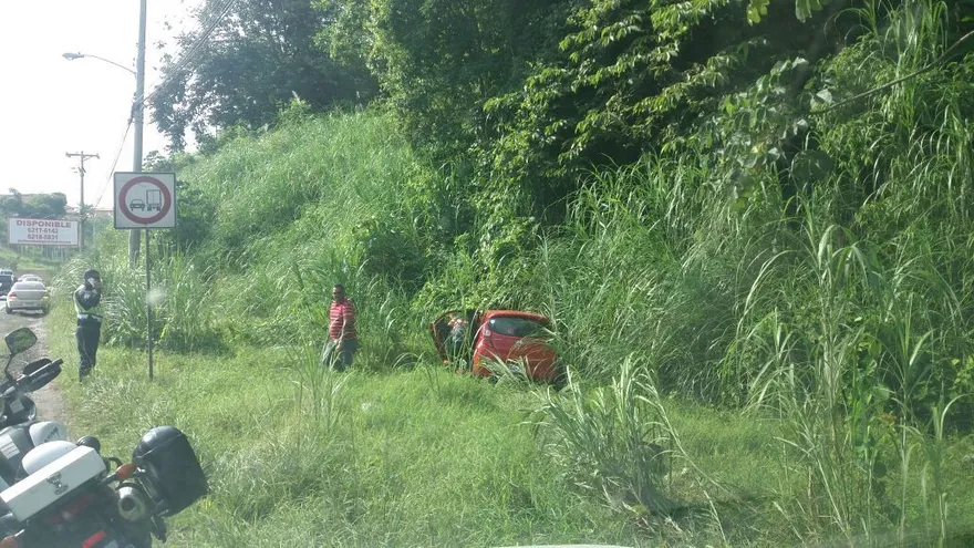 El vehículo quedó entre matorrales.