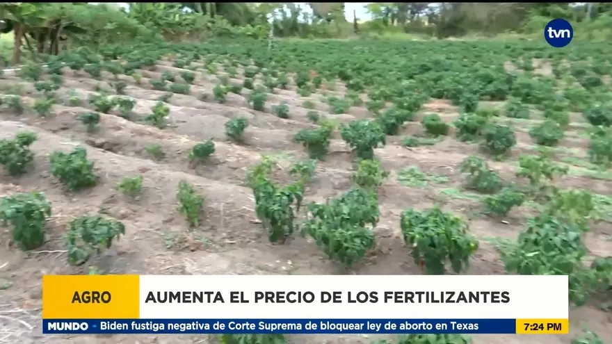 Incrementa insumos para la producción agrícola