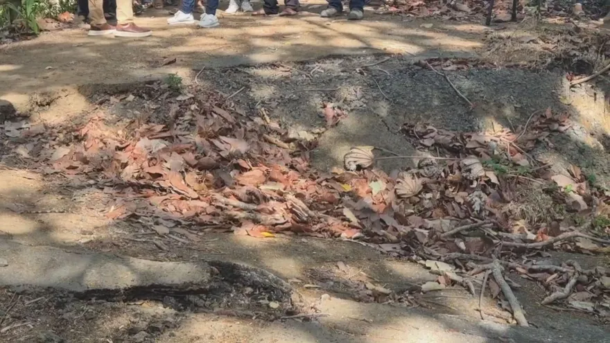 Residentes de Bijao, en Los Santos, exigen reparación urgente de puente tras seis meses de espera