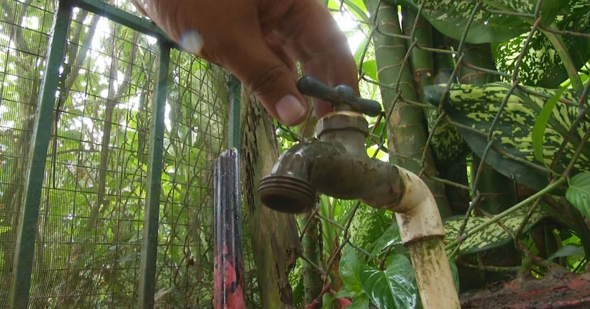 Residentes de Las Garzas se manifiestan por la falta de agua en varias ...