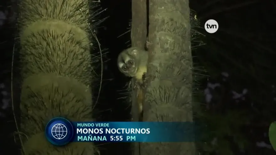 Noticiero Estelar 15 de febrero del 2018 - Bloque 2