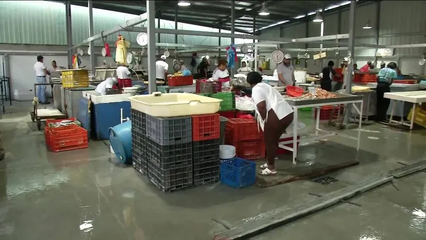 Noticiero Estelar 17 de marzo del 2017 - Bloque 3