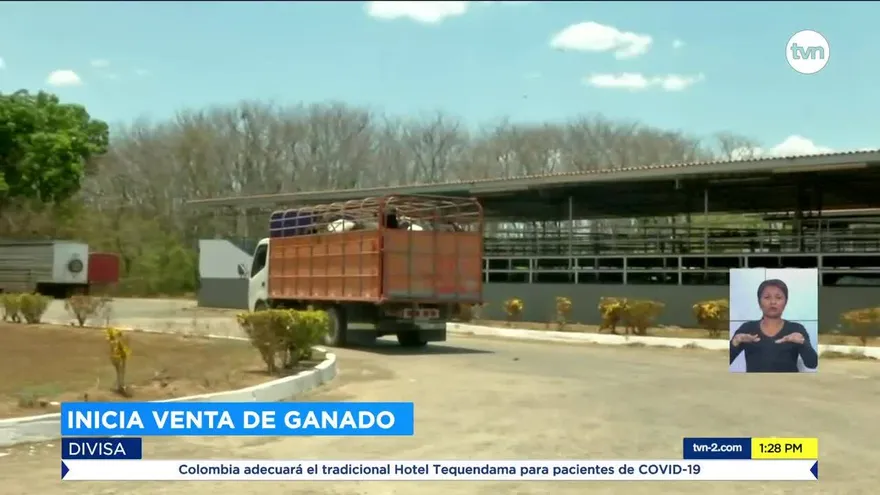 Ganaderos inician trámites para venta de reses al Gobierno