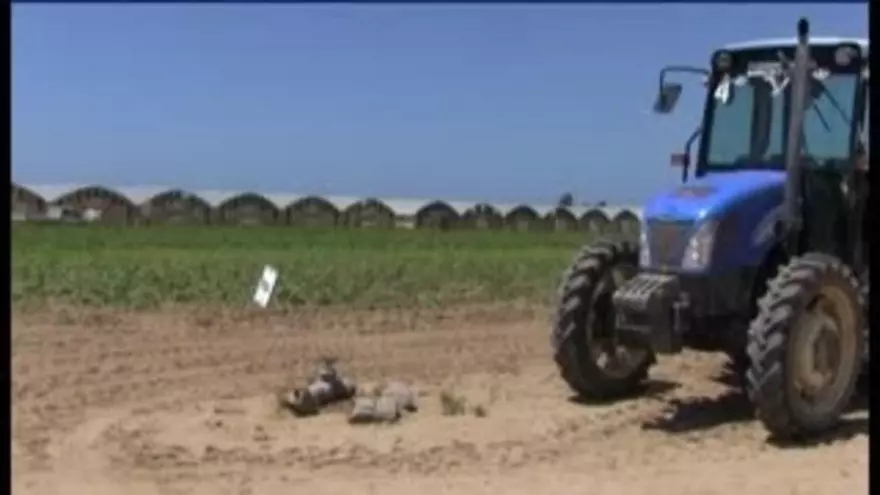 Los nuevos "aliados" de los agricultores para adaptarse al clima