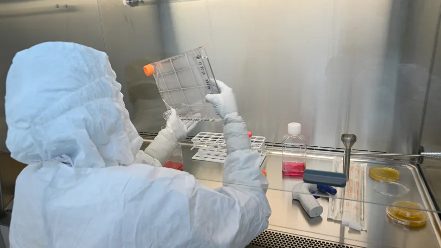 Investigación con células madre
