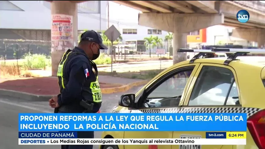 Ejecutivo planea modificar ley sobre la Fuerza Pública