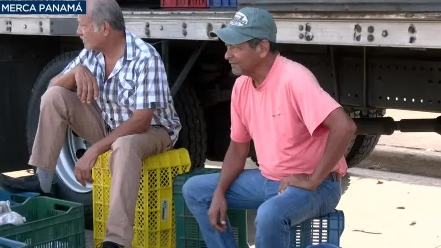 Transportistas de carga denuncia fallas para acceder al subsidio de combustible