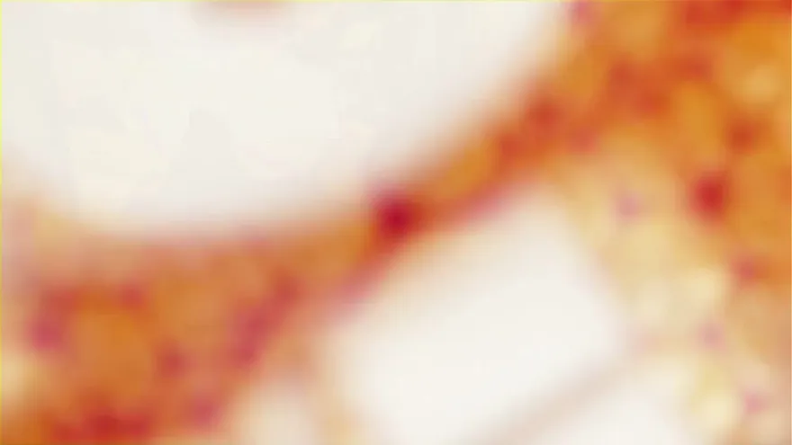 Especial de medio año - Duffus vs. Liza