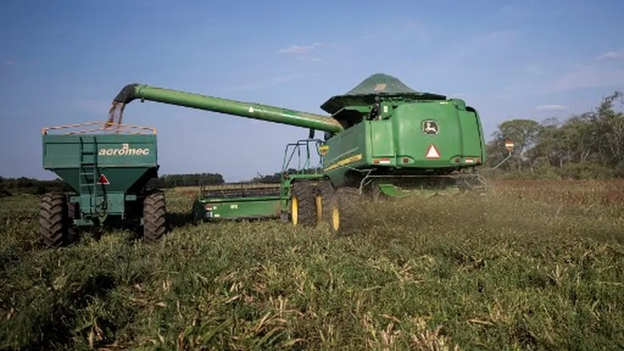 Sector agropecuario de Bolivia