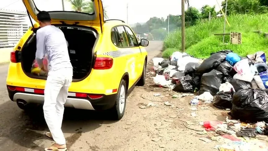 Corregidores tras la pista de los cochinos