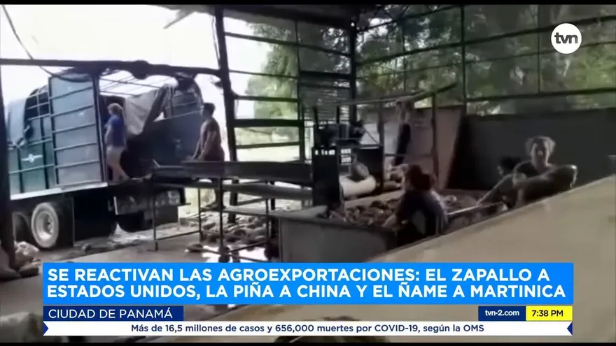 Agroexportaciones se reactivan en medio de la pandemia