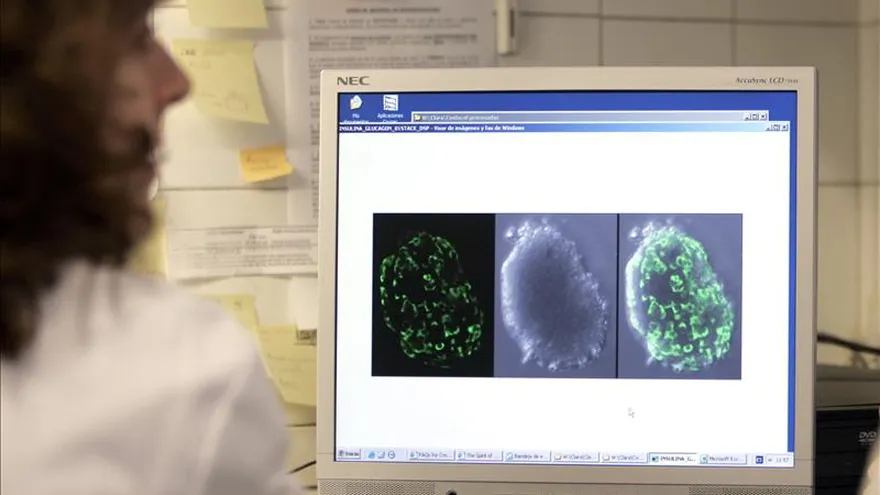 La firma tecnológica Google anunció hoy que su unidad de investigación sobre temas de salud trabajará conjuntamente con la farmacéutica francesa Sanofi para encontrar nuevas formas para controlar y tratar la diabetes.