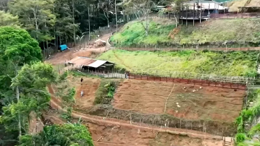 Mundo Verde: Granja de conejo pintado