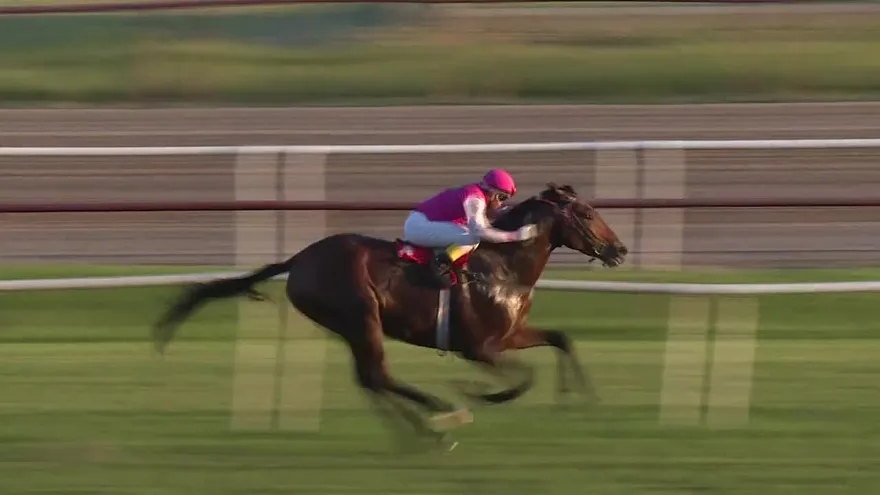 Superan la pobreza montados en un pura sangre