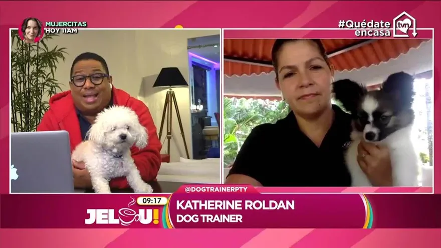 ¿Qué hacer con tus mascotas en medio de esta cuarentena para que no sufran el encierro? En esta entrevista te damos todos los tips