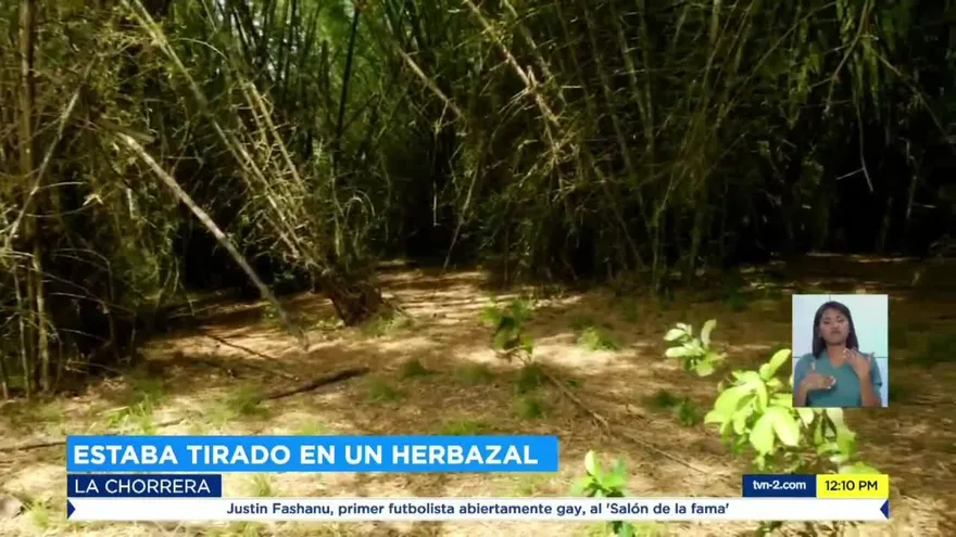 El MP investiga homicidio de un hombre en una finca en La Chorrera