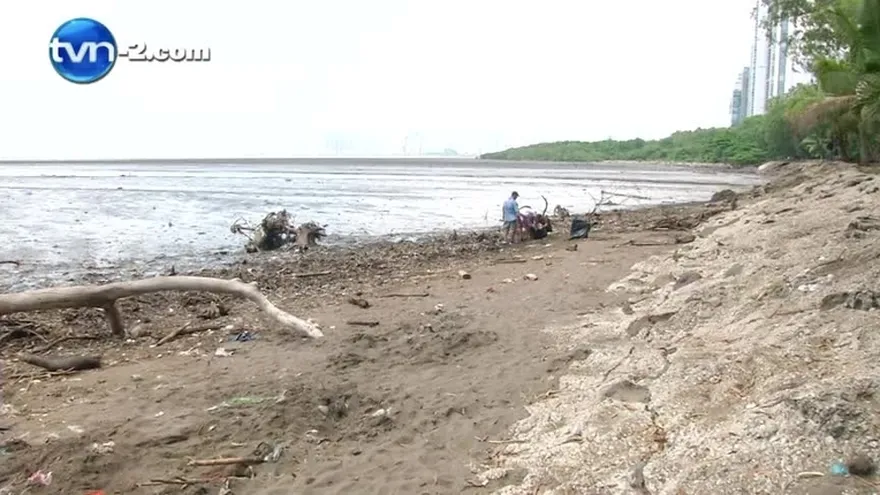 Limpieza en más de 50 playas