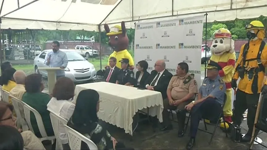 Evalúan cambiar normas y aumentar sanciones a quienes provoquen incendios