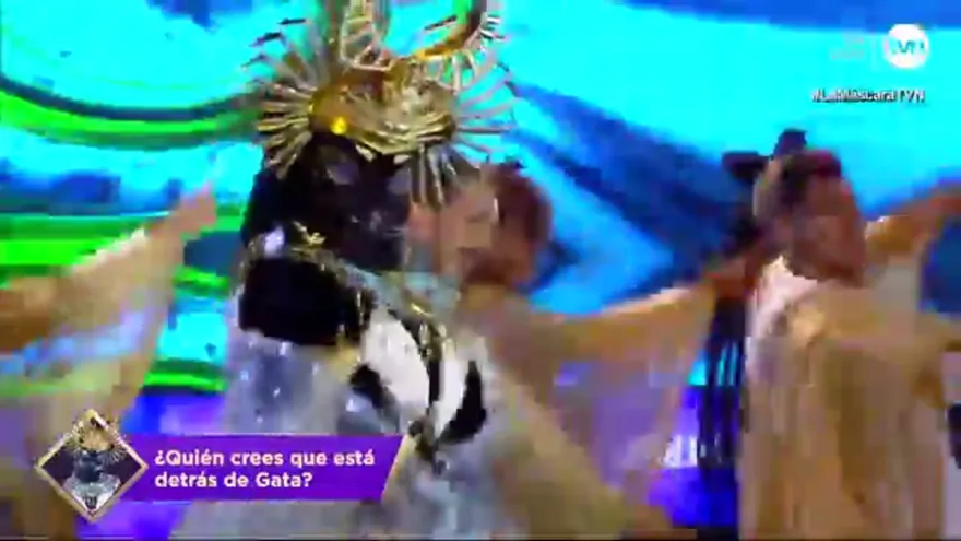 Gata presentación sexta gala