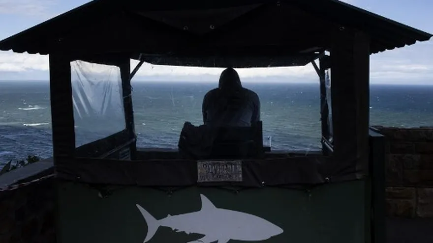 Foto ilustrativa: Una persona vigila las playas en una caseta que advierte sobre presencia de tiburones