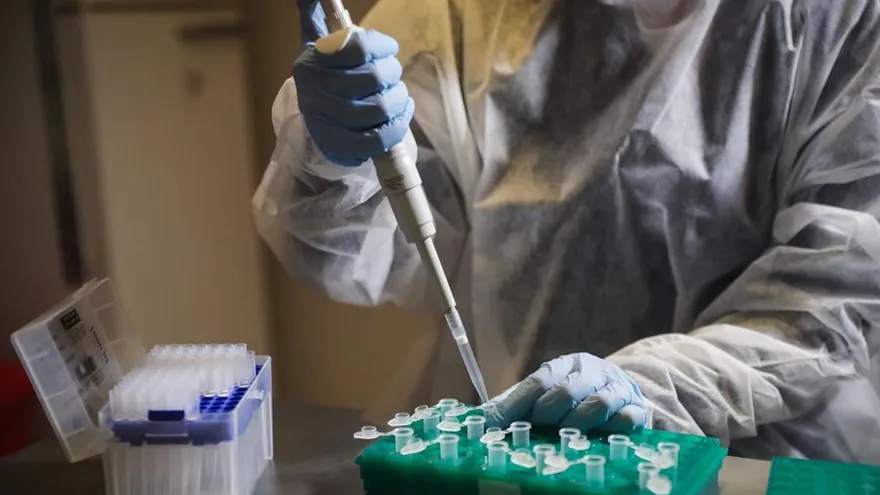 Hay indicios de que la bautizada como P.1 sea uno de los factores que están detrás de la explosión de casos de covid-19 en Manaos, capital del estado de Amazonas, donde los servicios sanitarios se han visto completamente desbordados