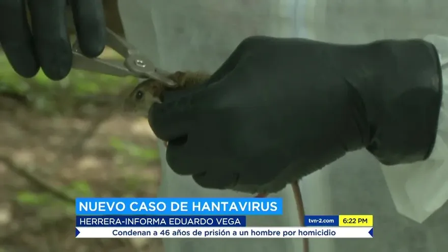 Se reporta primer caso del año de hantavirus en Herrera