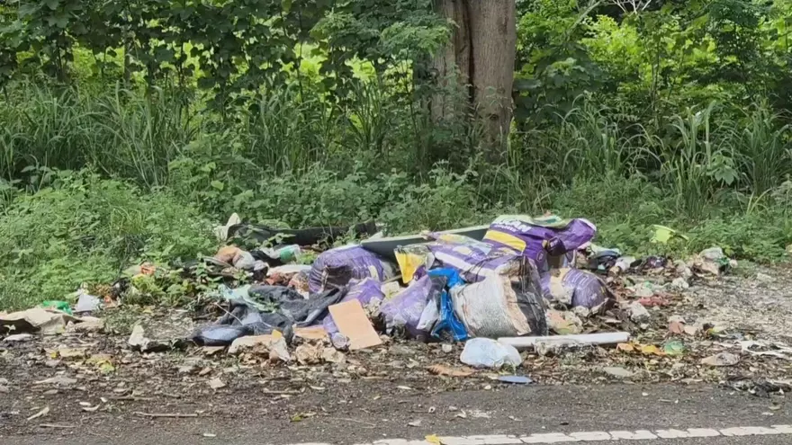 Gran cantidad de basura a la orilla de la vía que conduce a Playa Leona