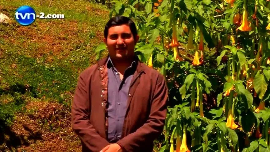 PROBLEMAS DE PRESIÓN BAJA