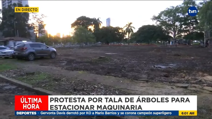 Médicos protestan por tala de árboles en Hospital Santo Tomás