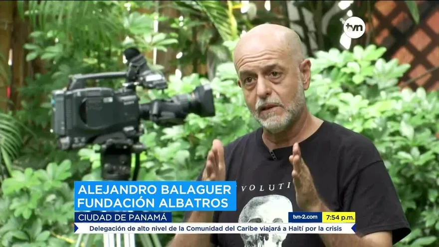 Mundo Verde: la Fundación Albatros y su trabajo por la educación ambiental