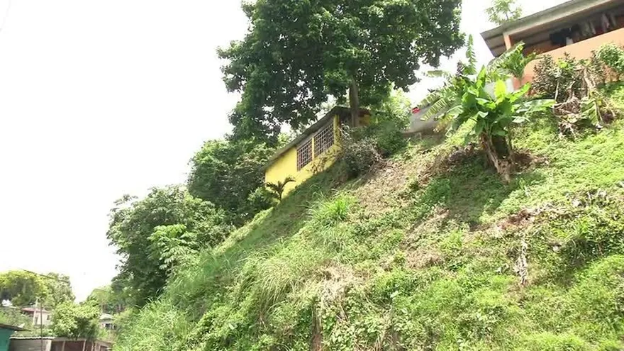 Fenómenos climáticos pueden causar deslizamientos y caídas de árboles