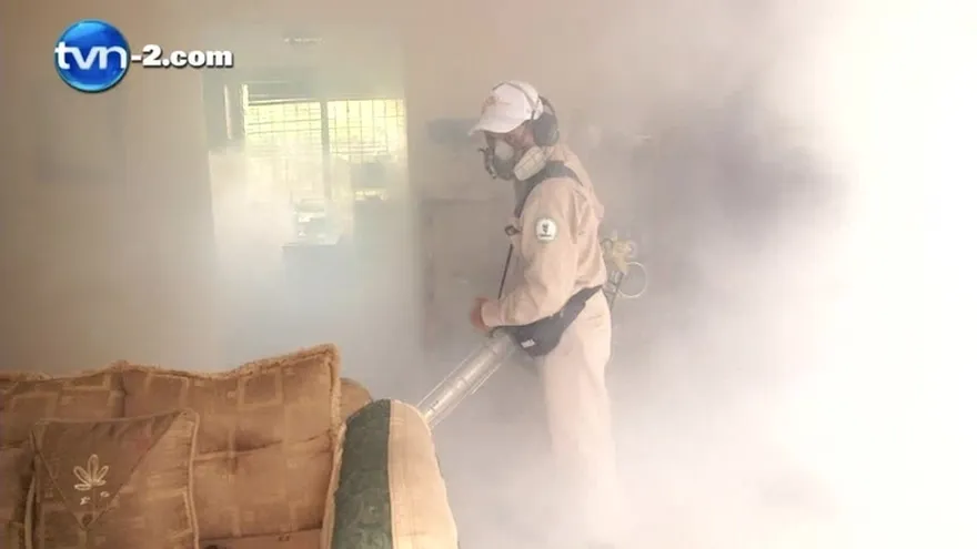 Salud advierte que ya hay Chikungunya en el interior del país