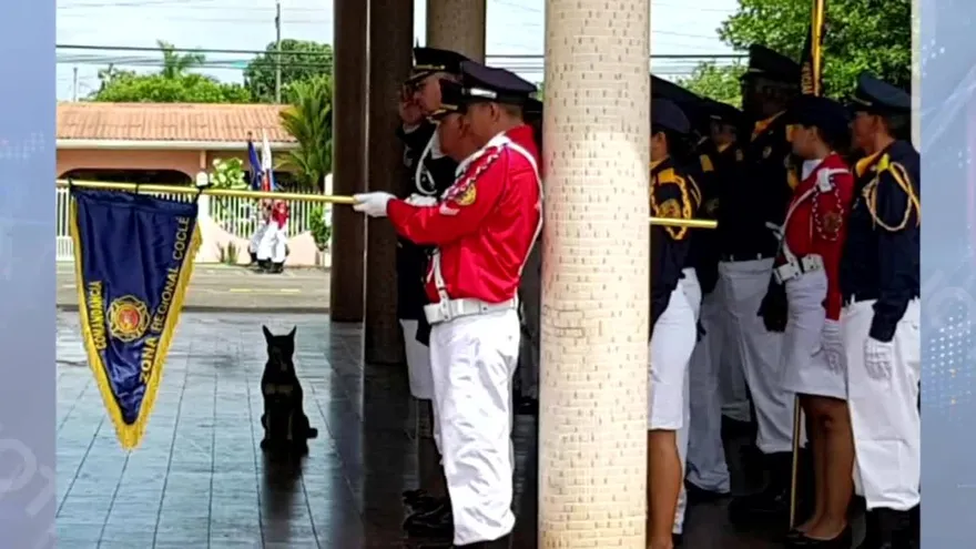 Perros colaboran en cuarteles de bomberos del interior del país