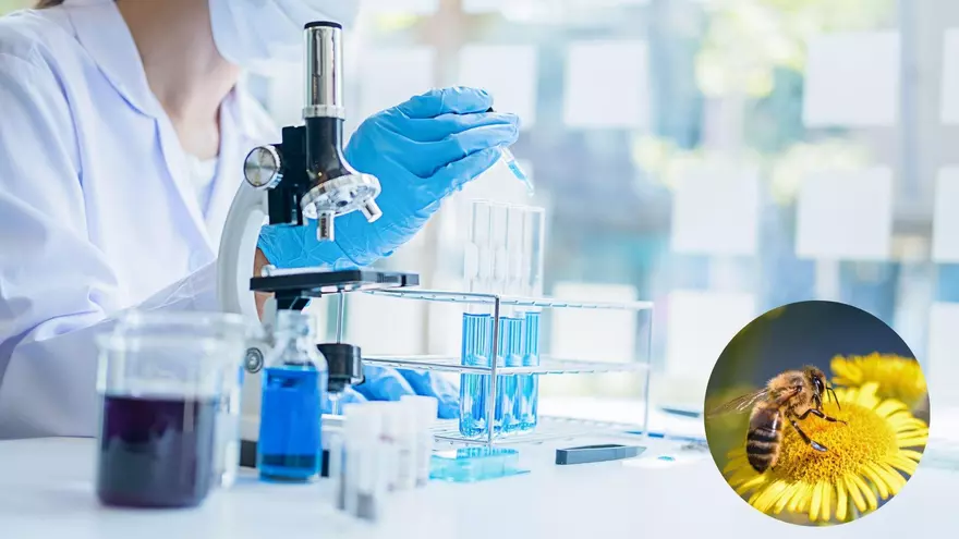 Serpientes, escorpiones, arañas y hasta abejas podrían esconder en su veneno moléculas capaces de combatir diferentes tipos de cáncer.