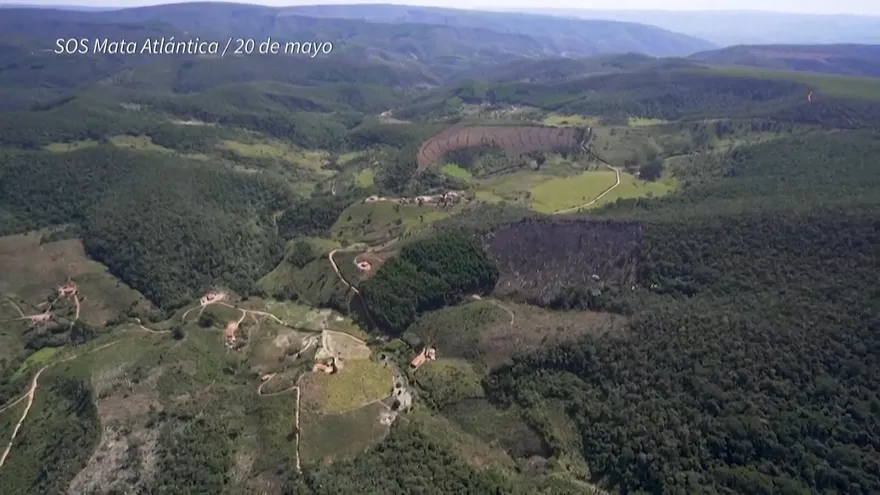 La deforestación en el Bosque Atlántico de Brasil se disparó en 2021.