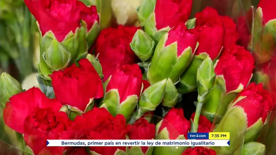 ¿Subirán de precio, las flores en San Valentín?