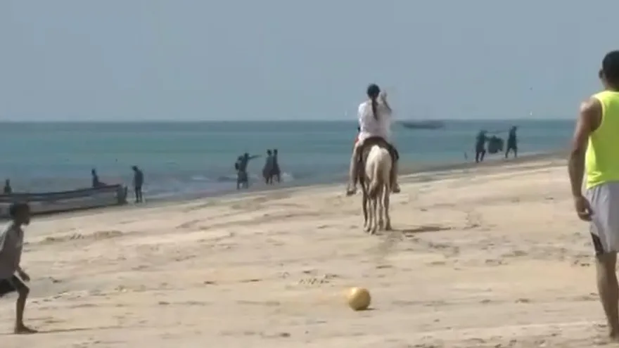 Más 800 unidades de Sinaproc en operativos de playas