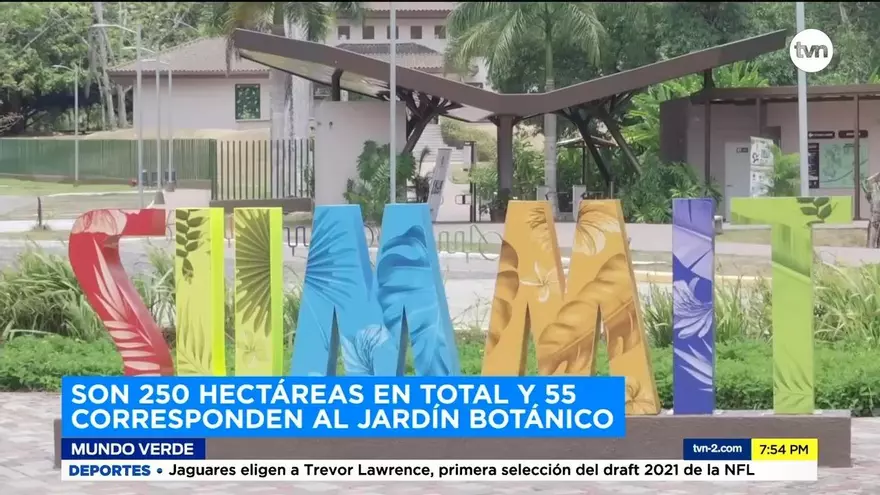 Mundo Verde: Parque Municipal Summit