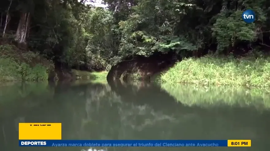 Mundo Verde: Parque Nacional Chagres