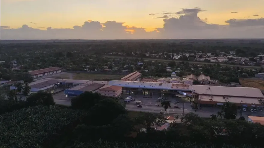 Imágenes de las fincas bananeras en Changuinola.