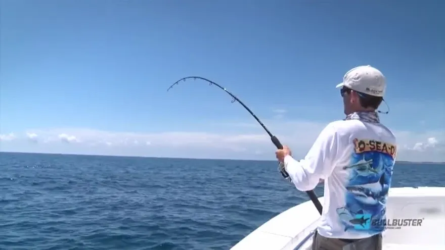 Pez depredador amenaza especies marinas en Panamá