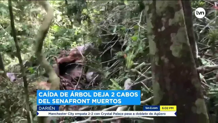 Dos miembros del Senafront fallecen por la caída de un árbol